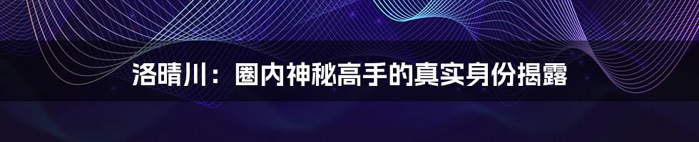 洛晴川：圈内神秘高手的真实身份揭露