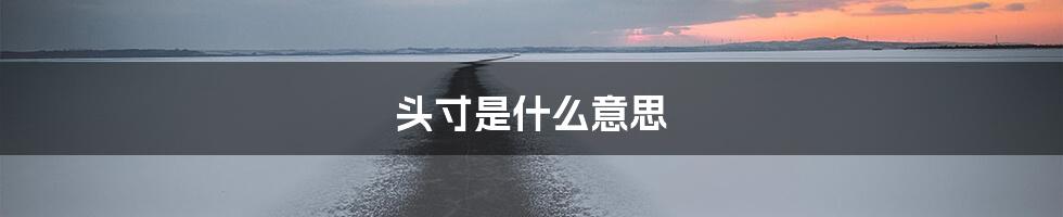 头寸是什么意思