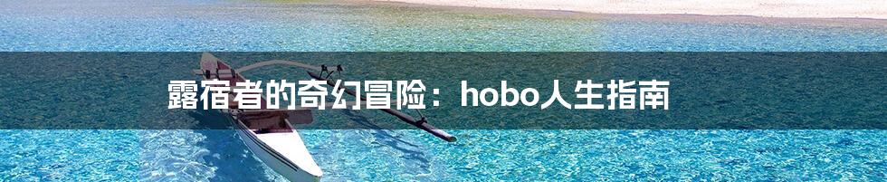 露宿者的奇幻冒险：hobo人生指南