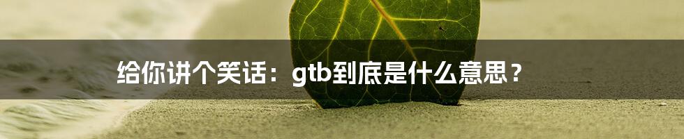 给你讲个笑话：gtb到底是什么意思？