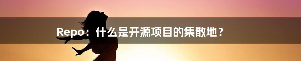 Repo：什么是开源项目的集散地？