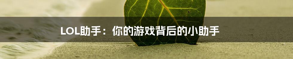 LOL助手：你的游戏背后的小助手