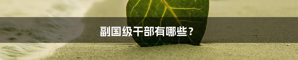 副国级干部有哪些？