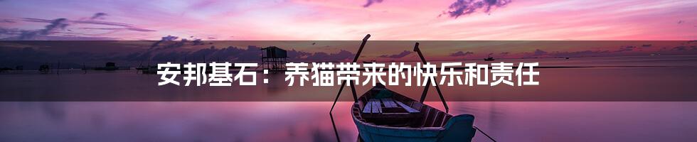 安邦基石：养猫带来的快乐和责任