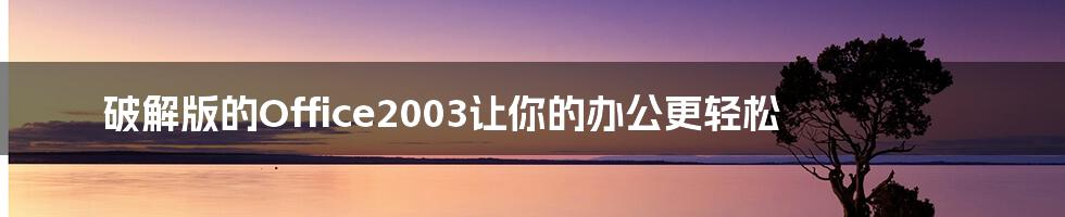 破解版的Office2003让你的办公更轻松