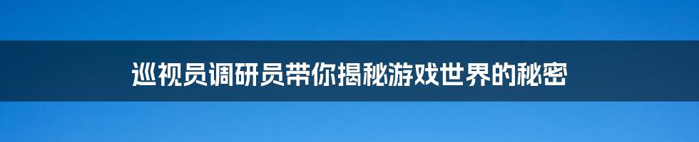 巡视员调研员带你揭秘游戏世界的秘密