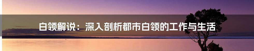 白领解说：深入剖析都市白领的工作与生活