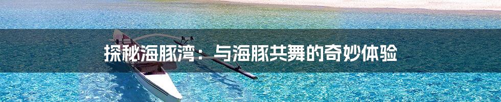 探秘海豚湾：与海豚共舞的奇妙体验