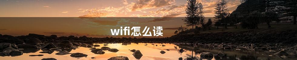 wifi怎么读