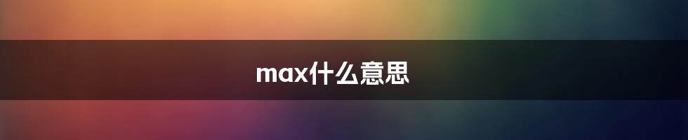 max什么意思