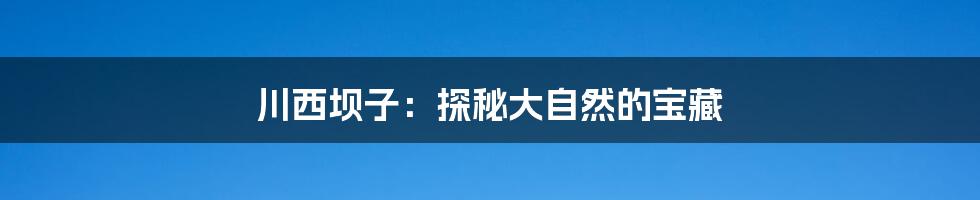 川西坝子：探秘大自然的宝藏