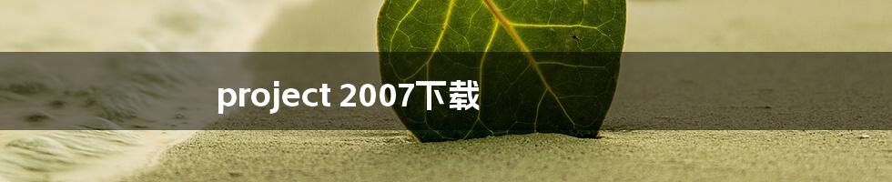 project 2007下载