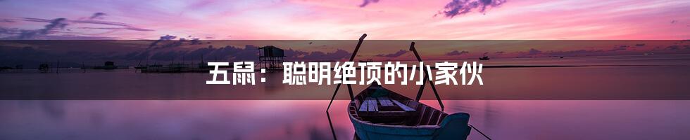 五鼠：聪明绝顶的小家伙