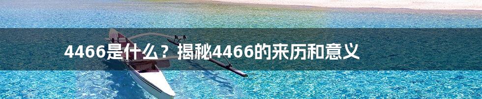 4466是什么？揭秘4466的来历和意义