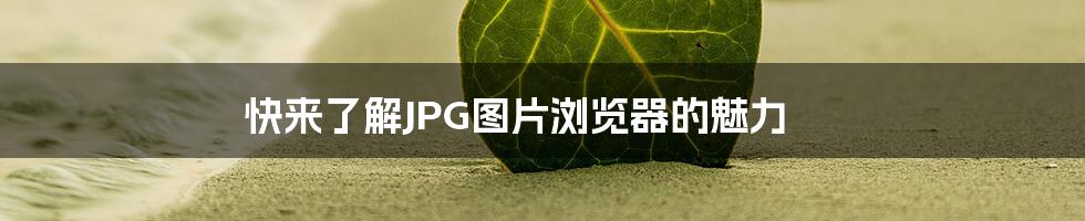 快来了解JPG图片浏览器的魅力