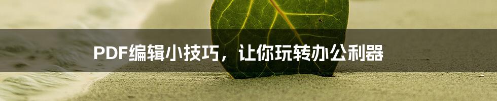 PDF编辑小技巧，让你玩转办公利器