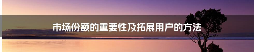 市场份额的重要性及拓展用户的方法