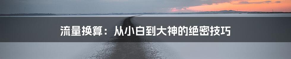 流量换算：从小白到大神的绝密技巧