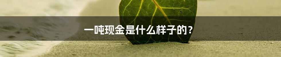 一吨现金是什么样子的？