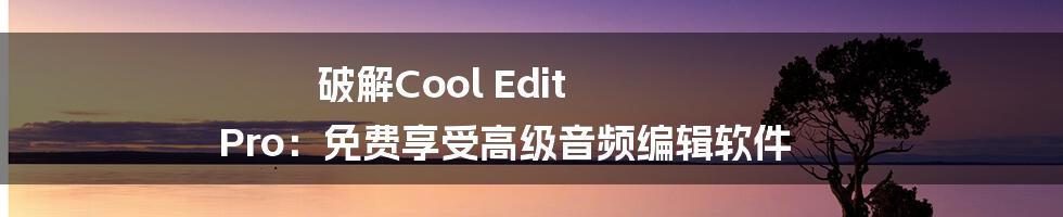 破解Cool Edit Pro：免费享受高级音频编辑软件