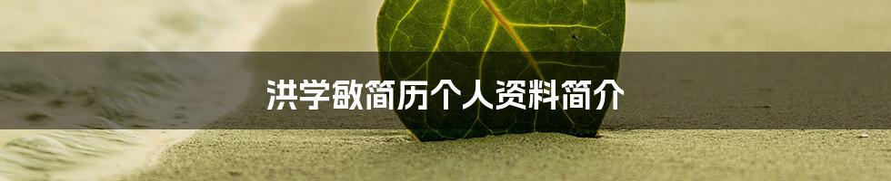 洪学敏简历个人资料简介