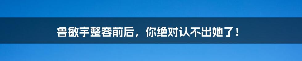 鲁敏宇整容前后，你绝对认不出她了！