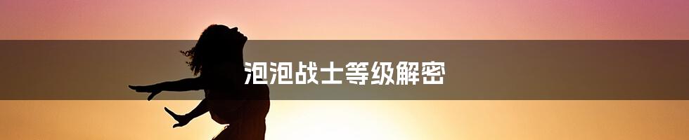 泡泡战士等级解密