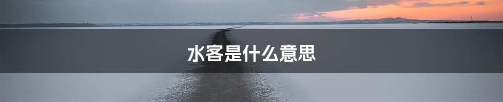 水客是什么意思