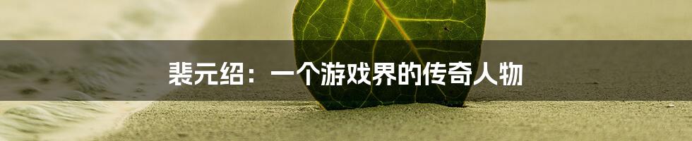 裴元绍：一个游戏界的传奇人物