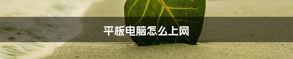 平板电脑怎么上网