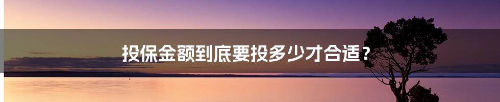 投保金额到底要投多少才合适？