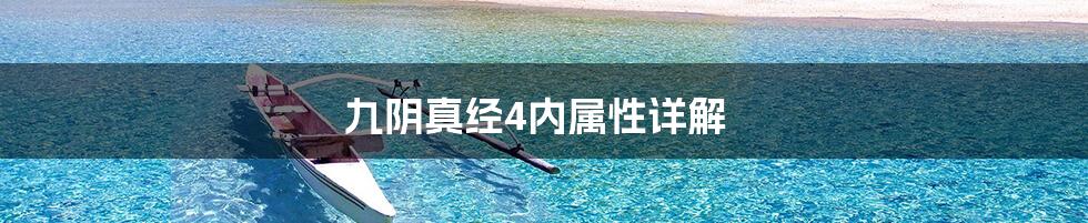 九阴真经4内属性详解