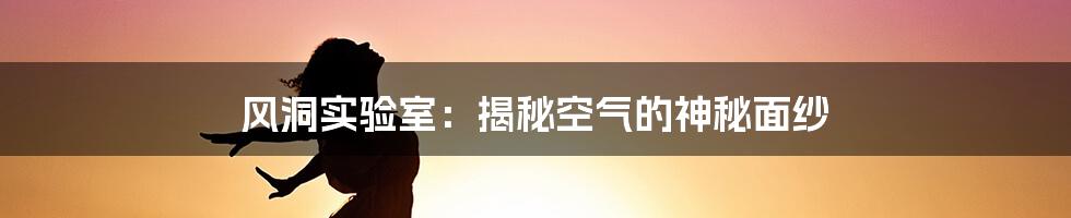 风洞实验室：揭秘空气的神秘面纱