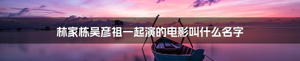 林家栋吴彦祖一起演的电影叫什么名字