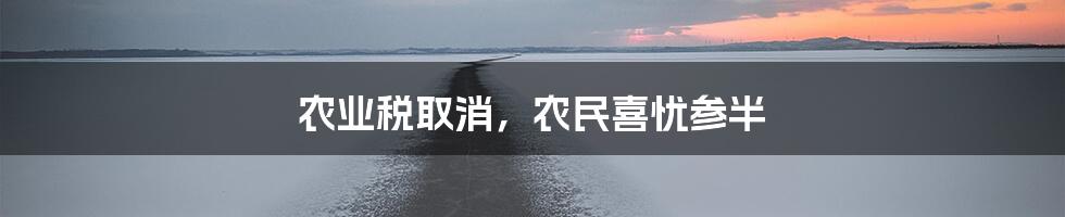 农业税取消，农民喜忧参半