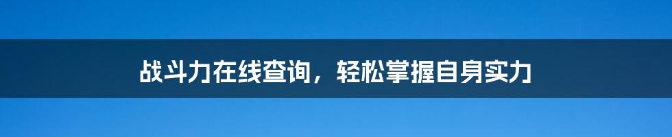 战斗力在线查询，轻松掌握自身实力