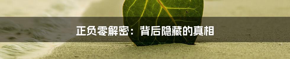 正负零解密：背后隐藏的真相