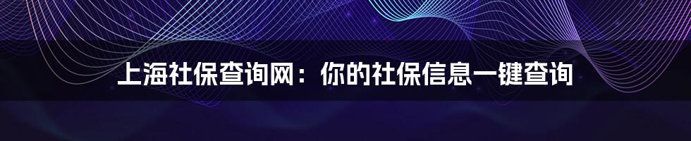 上海社保查询网：你的社保信息一键查询