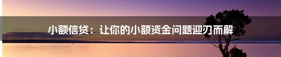 小额信贷：让你的小额资金问题迎刃而解