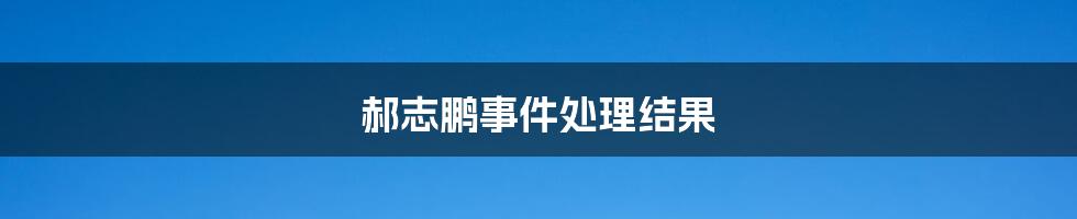 郝志鹏事件处理结果