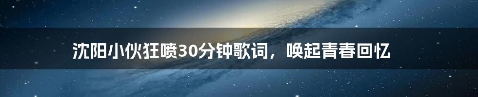 沈阳小伙狂喷30分钟歌词，唤起青春回忆