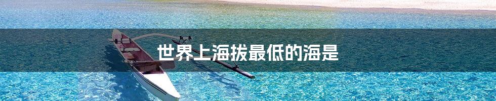 世界上海拔最低的海是