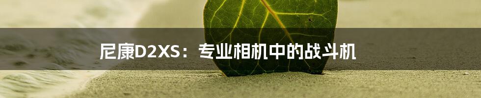 尼康D2XS：专业相机中的战斗机