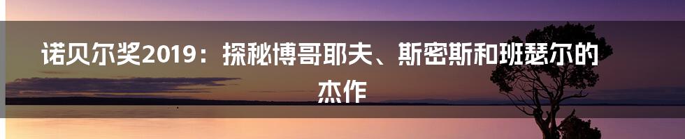 诺贝尔奖2019：探秘博哥耶夫、斯密斯和班瑟尔的杰作