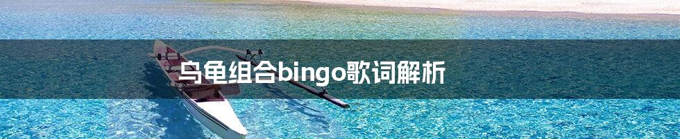 乌龟组合bingo歌词解析