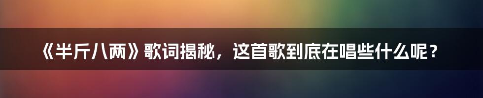 《半斤八两》歌词揭秘，这首歌到底在唱些什么呢？