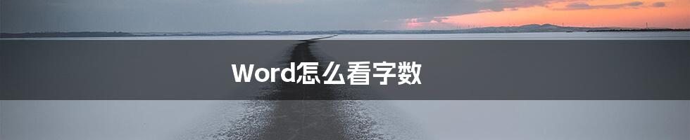 Word怎么看字数