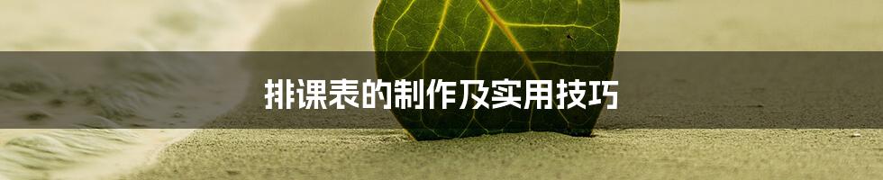 排课表的制作及实用技巧