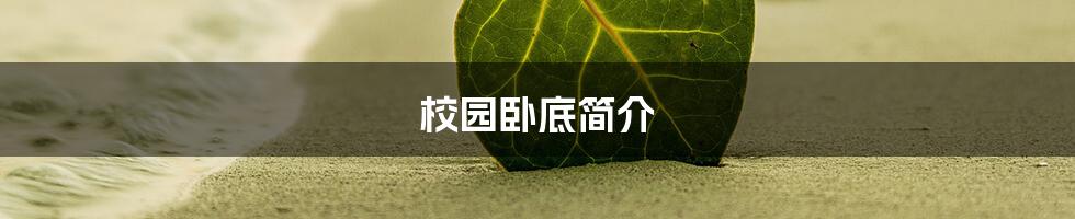 校园卧底简介