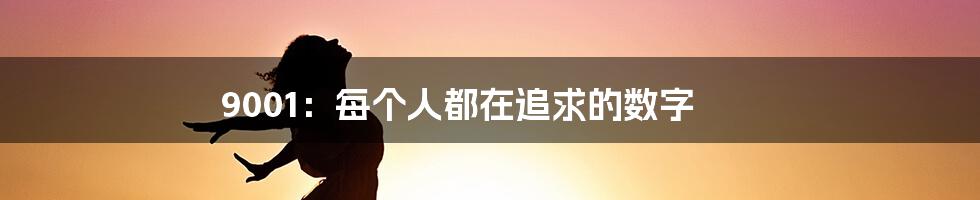 9001：每个人都在追求的数字